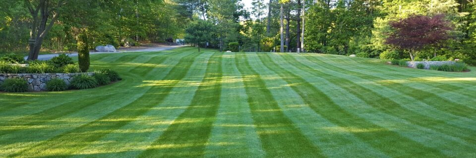 RESIDENTIAL LANDSCAPING